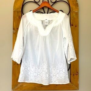 Esley sheer tunic embroidered top